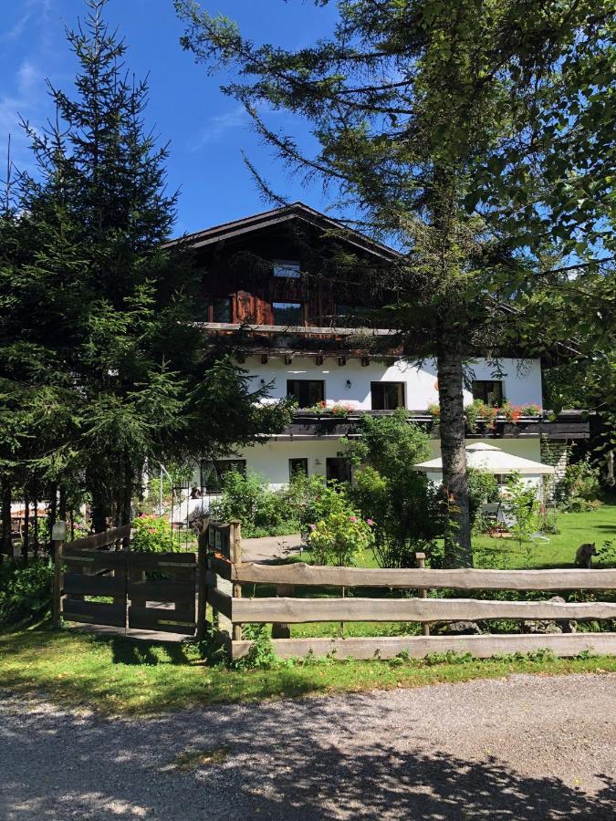 Apartmán Buehlhaeusl Grünau im Almtal Exteriér fotografie
