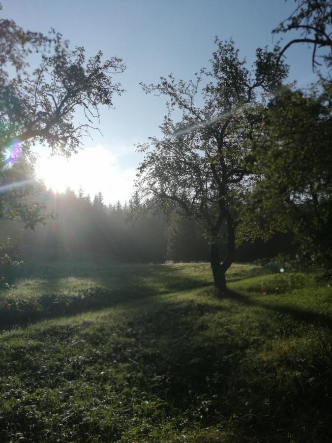 Apartmán Buehlhaeusl Grünau im Almtal Exteriér fotografie