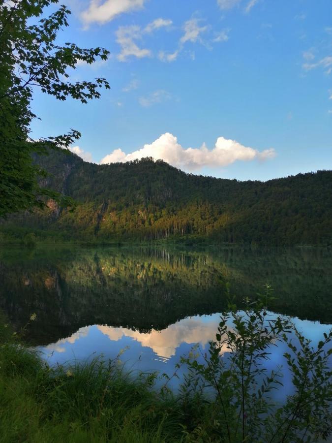 Apartmán Buehlhaeusl Grünau im Almtal Exteriér fotografie